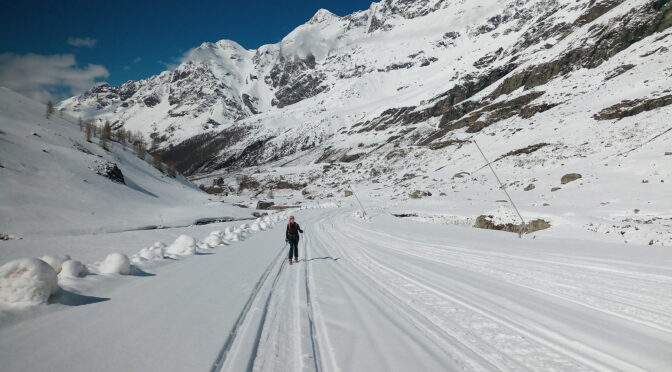 ABBONAMENTI PER IL BUS DELLA NEVE NELLE GIORNATE DI CORSO: IDEALE PER TUTTI I FONDISTI