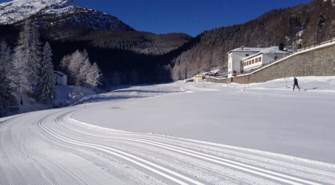 IL 9 MARZO IL BUS DELLA NEVE CI PORTA A SCIARE  AD ARPY